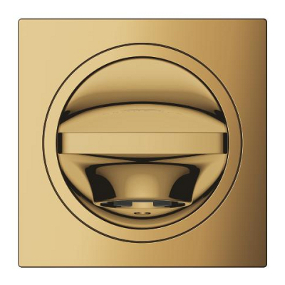 Grohe Allure Çıkış Ucu, Altın - 13264GL1 - 3