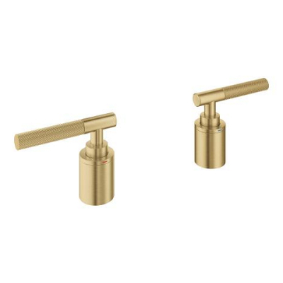 Grohe Atrio Private Collection 5 Delikli Ankastre Küvet Bataryası İçin Kulp, Fırçalı Altın - 48651GN0 - 1