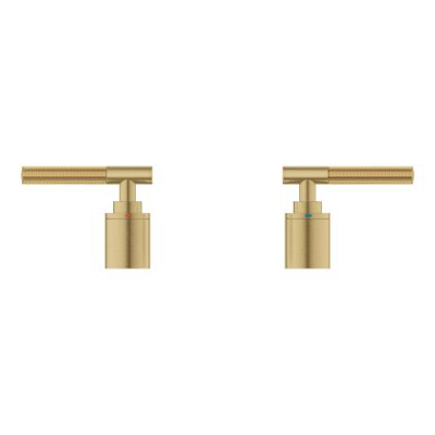 Grohe Atrio Private Collection 5 Delikli Ankastre Küvet Bataryası İçin Kulp, Fırçalı Altın - 48651GN0 - 2