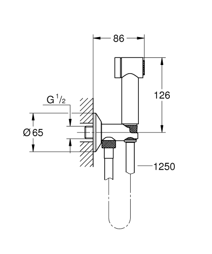 Grohe Rainshower Aqua Taharet Spreyi - 26841000 - 3