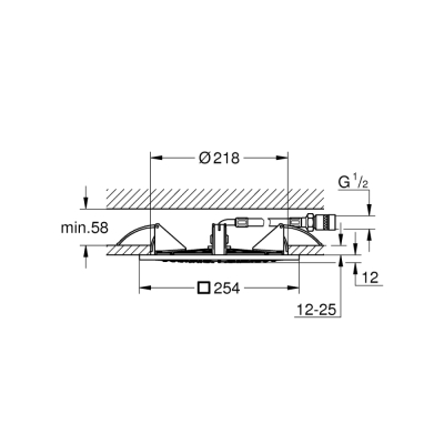 Grohe Rainshower F-Series 10