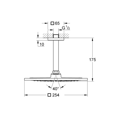 Grohe Rainshower F-Series 10