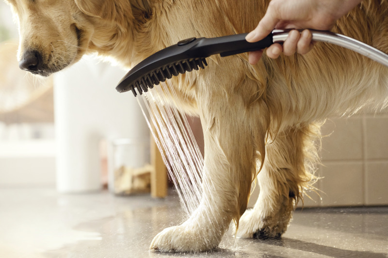 HansGrohe Dogshower Köpek El Duşu 150 3Jet - 26640540 - 2