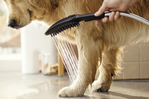 HansGrohe Dogshower Köpek El Duşu 150 3Jet - 26640700 - 3