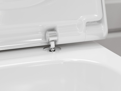 Hansgrohe EluPura S WC Komple Set, iFrame üniversal gömme rezervuar ve iFrame Element E gömme rezervuar paneliyle birlikte - 60303700 - 2