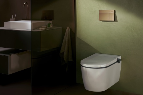 Hansgrohe iFrame Element E Çift yıkama için gömme plaka - 66003140 - 4