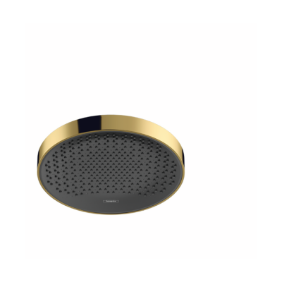 HansGrohe Rainfinity Tepe Duşu 250 1Jet - 26228990 - 1