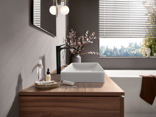HansGrohe Vivenis Tek Kollu Lavabo Bataryası 250, Çanak Lavabolar İçin, Kumandasız - 75042670 - 3